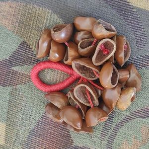 Nutshell hand rattle for percussion.